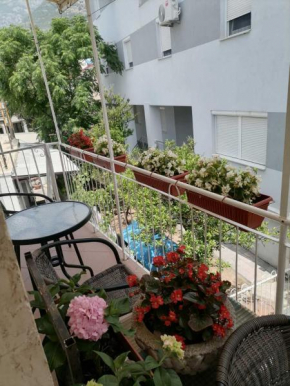 Apartmani Nina